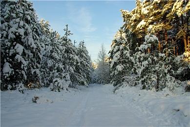 《反恐精英2》确认未来会推出更多全新武器